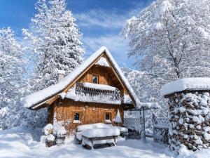 Baumgartnerh�tte St. Peter am Kammersberg Bergh�tte St Peter am Kammersberg  